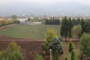 IMG 0287 1