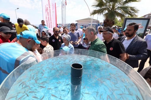 BalC4B1klandC4B1rma28829