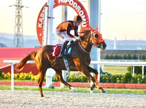 finis 1655888846 1 1655888857