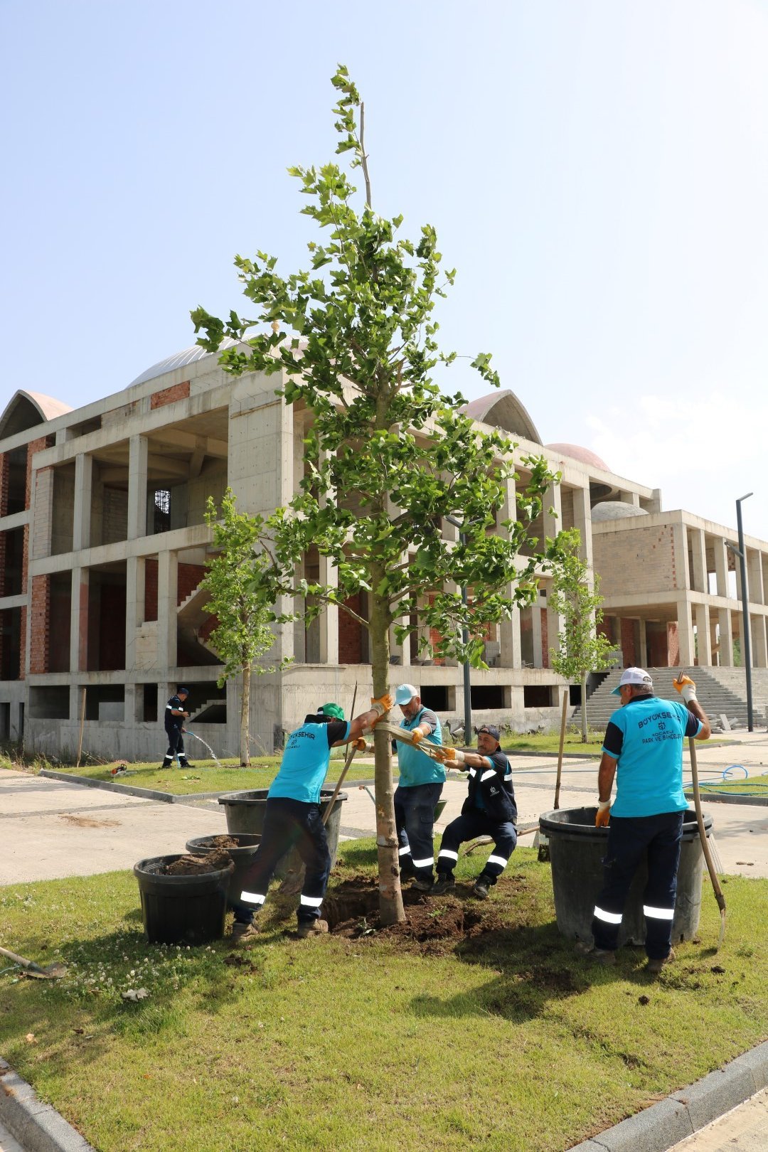 img 659428large296971966363478156689.