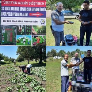 bd93fbf0 81e7 4248 8b07 48b9c6758eca min