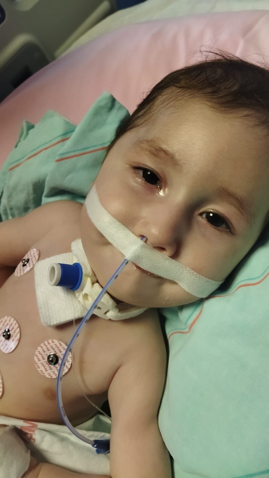 320926185 1120897811926614 5054264610427085209 n