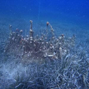 KOCAMANDAN KAMADERIN PROJESINE DESTEK 4