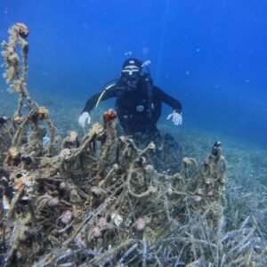 KOCAMANDAN KAMADERIN PROJESINE DESTEK 5