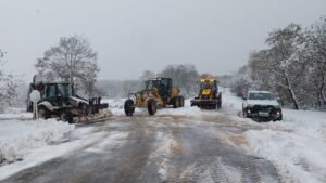 Buyuksehirin kar kaplanlari is basinda 4