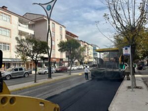 Buyuksehirden Korfezin caddelerine estetik dokunus 1