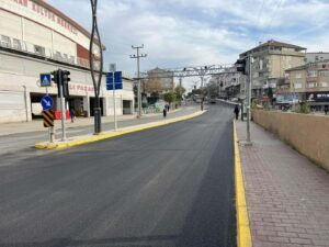 Buyuksehirden Korfezin caddelerine estetik dokunus 3