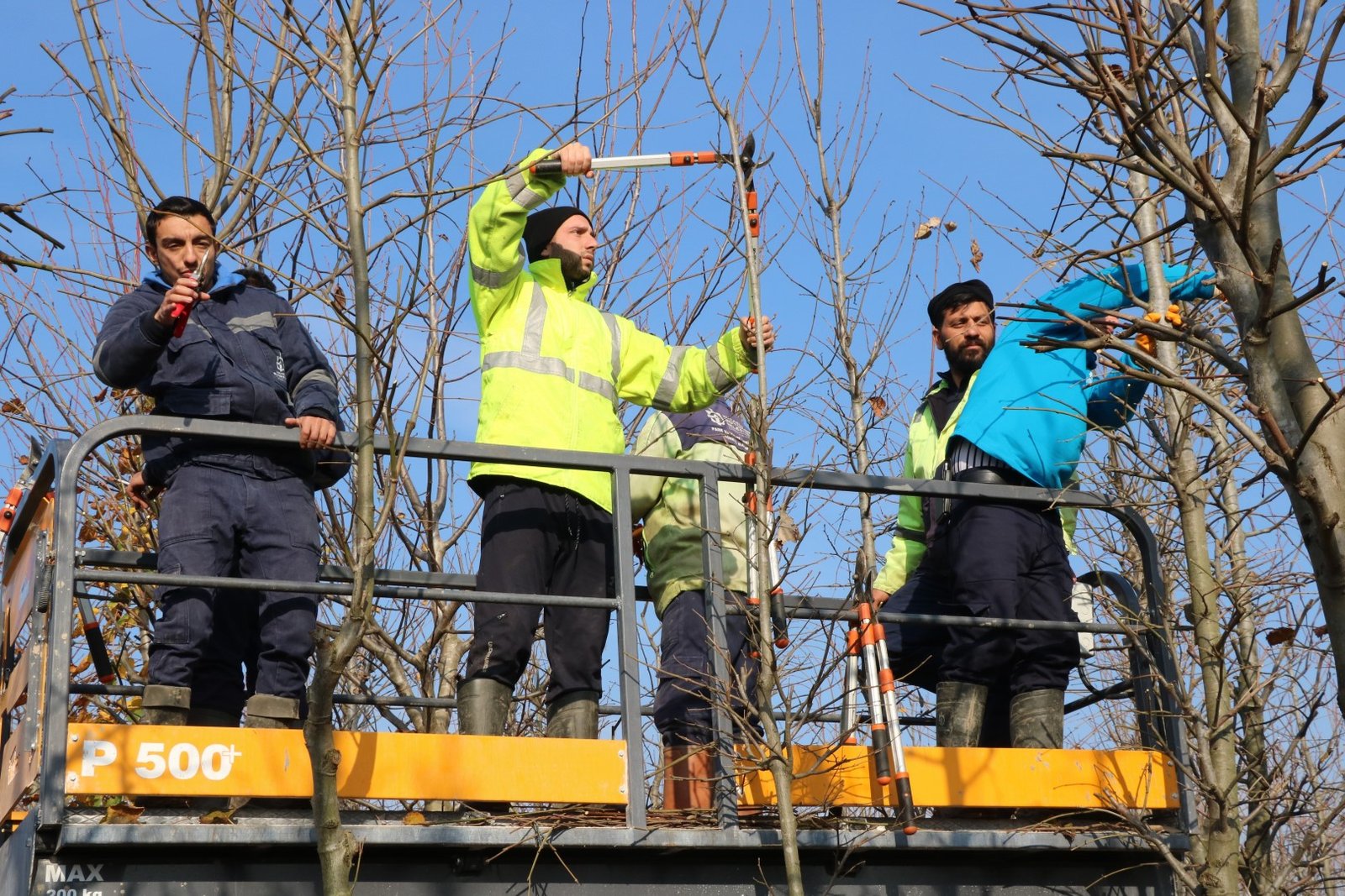 Buyuksehirin yetistirdigi on binlerce fidan kente nefes oluyor 10