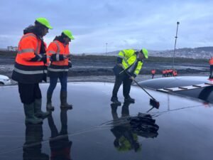 Dip camuru temizligine uluslararasi basindan ilgi 6