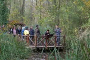 Ormanya Tur Say etkinliginde 494 gozlem 10