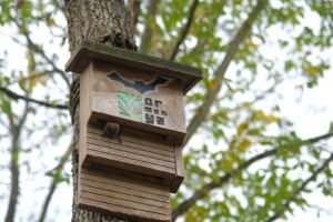 Ormanya Tur Say etkinliginde 494 gozlem 4