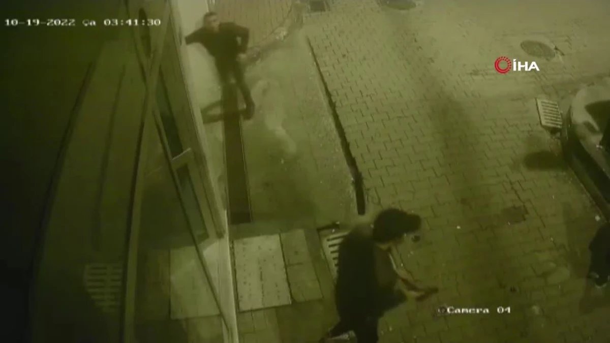 15 el ates edilerek oldurulmustu mermisi bitince silahin kabzasiyla vurmaya basladi 0 ILDhVyb4