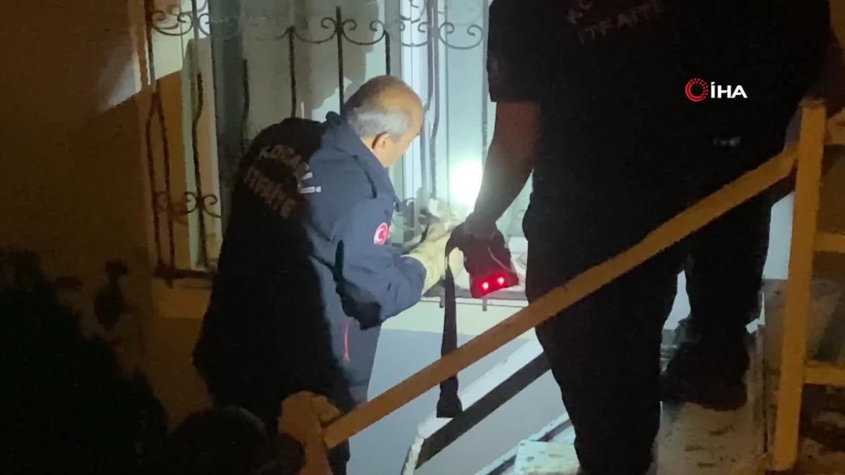 pencere korkuluguna sikisan kediyi itfaiye kurtardi 0 ATpH3wmj